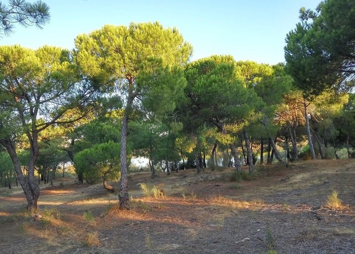 Sendero de la Laguna del Portil