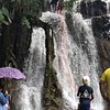 Things To Do in Palenque and Cascades of Roberto Barrios, Restaurants in Palenque and Cascades of Roberto Barrios