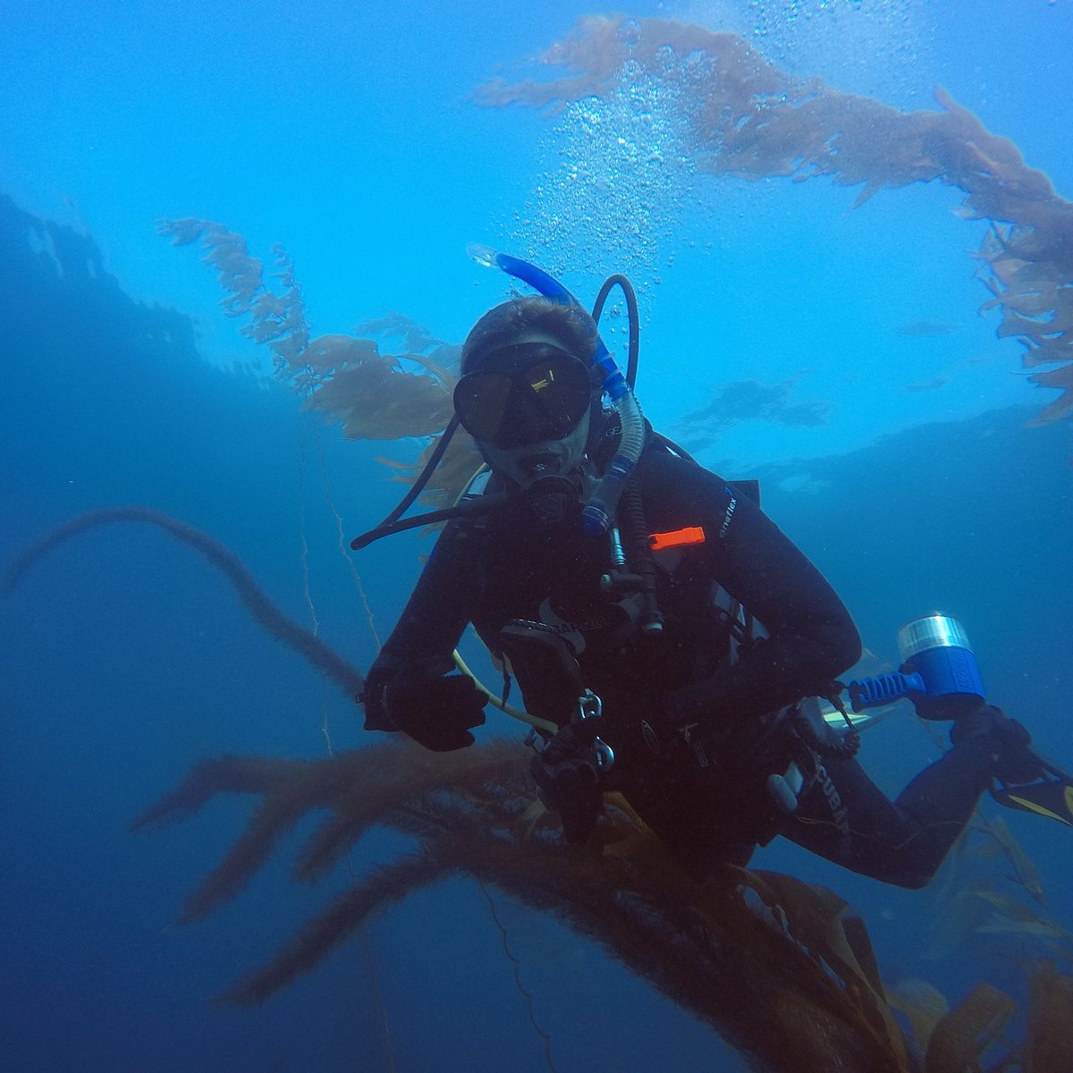 Trident Pole Spear No Tip – San Diego Divers