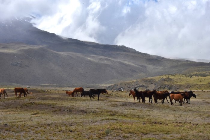 Latacunga Tourism (2023): Best of Latacunga, Ecuador - Tripadvisor