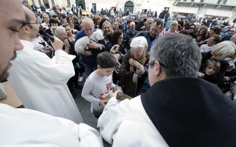 benedizione degli animali il 4 ottobre (io sono con il cane bianco in braccio)