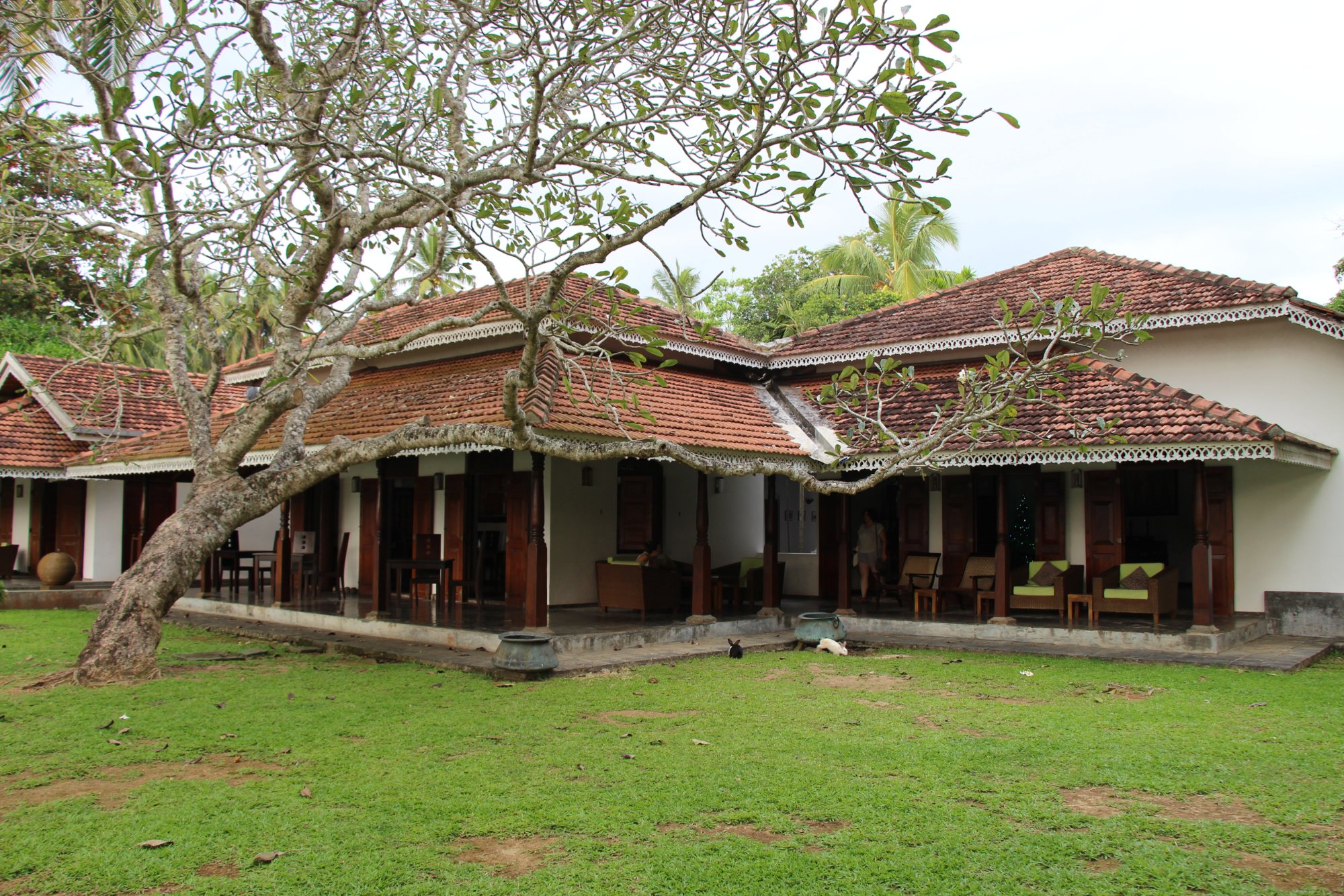 Villa Modarawattha B&B (Sri Lanka/Koggala) : Tarifs 2022 - Tripadvisor