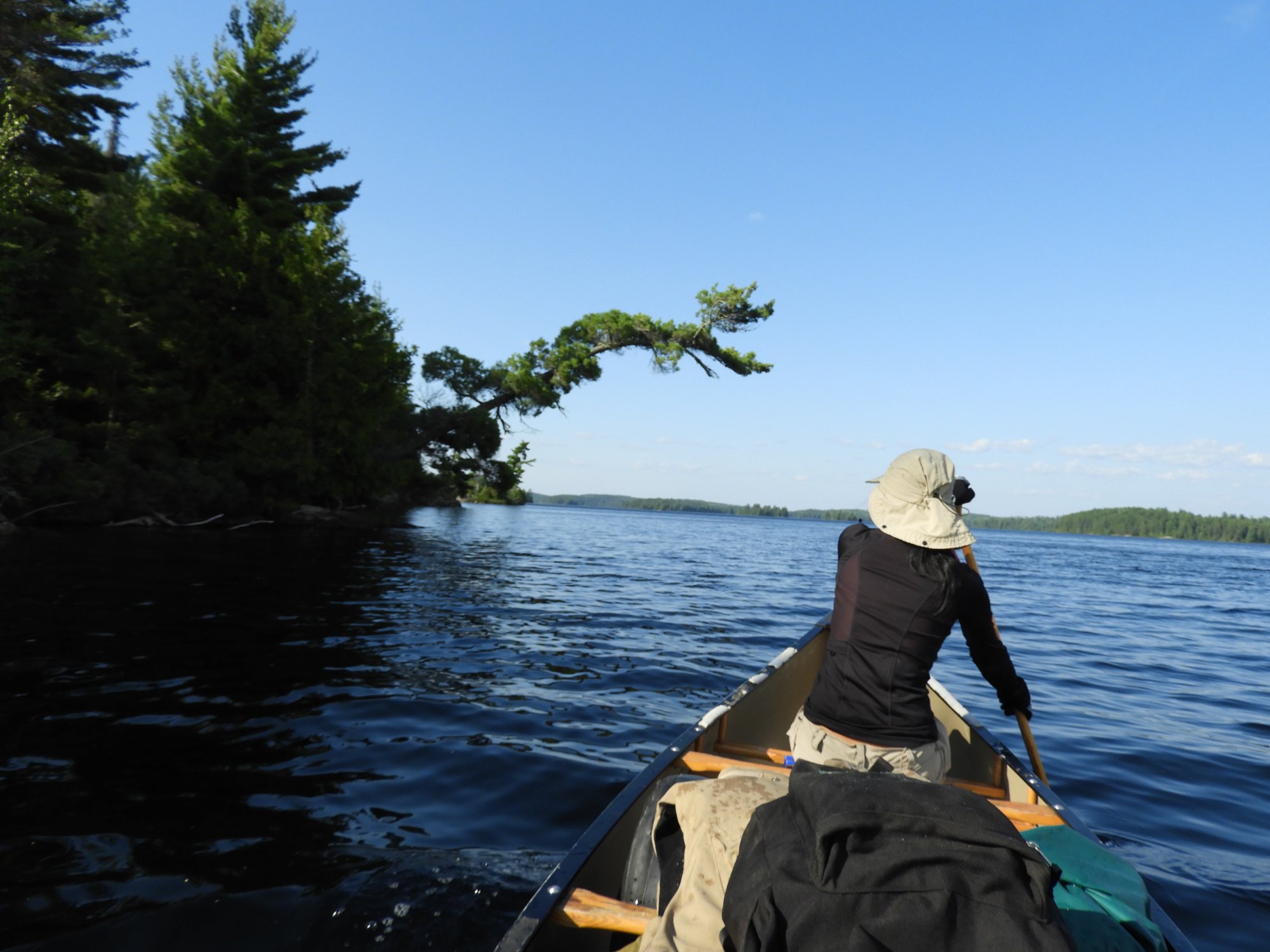 Ontario S Wilderness Region 2024 Best Places To Visit Tripadvisor   The Paddle In 