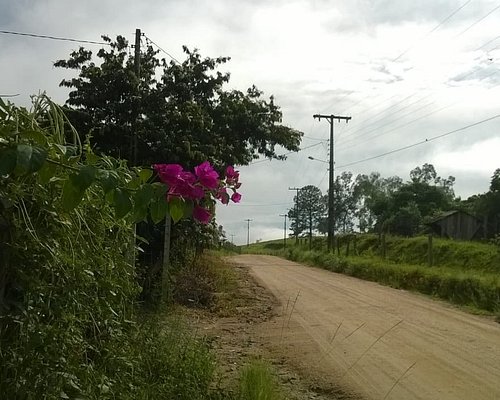 As melhores trilhas de Moto Trail em Luiz Alves, Santa Catarina (Brasil)