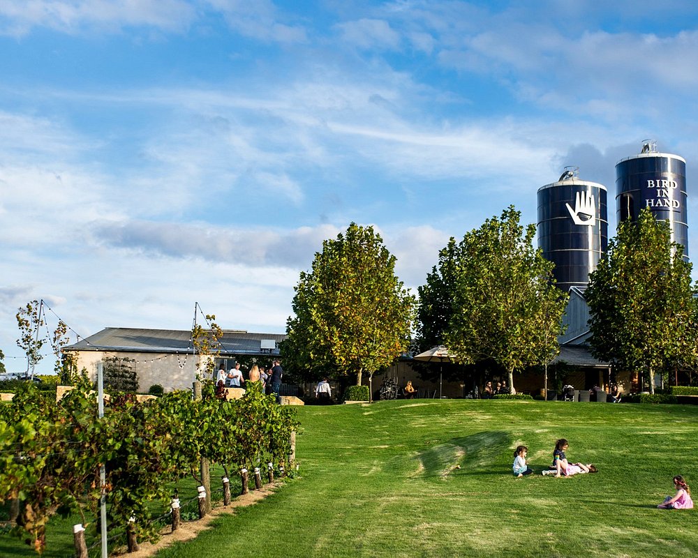The Winery Lawns ?w=1000&h=800&s=1