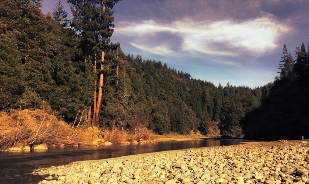 Redwoods River Resort & Campground Pool: Pictures & Reviews - Tripadvisor