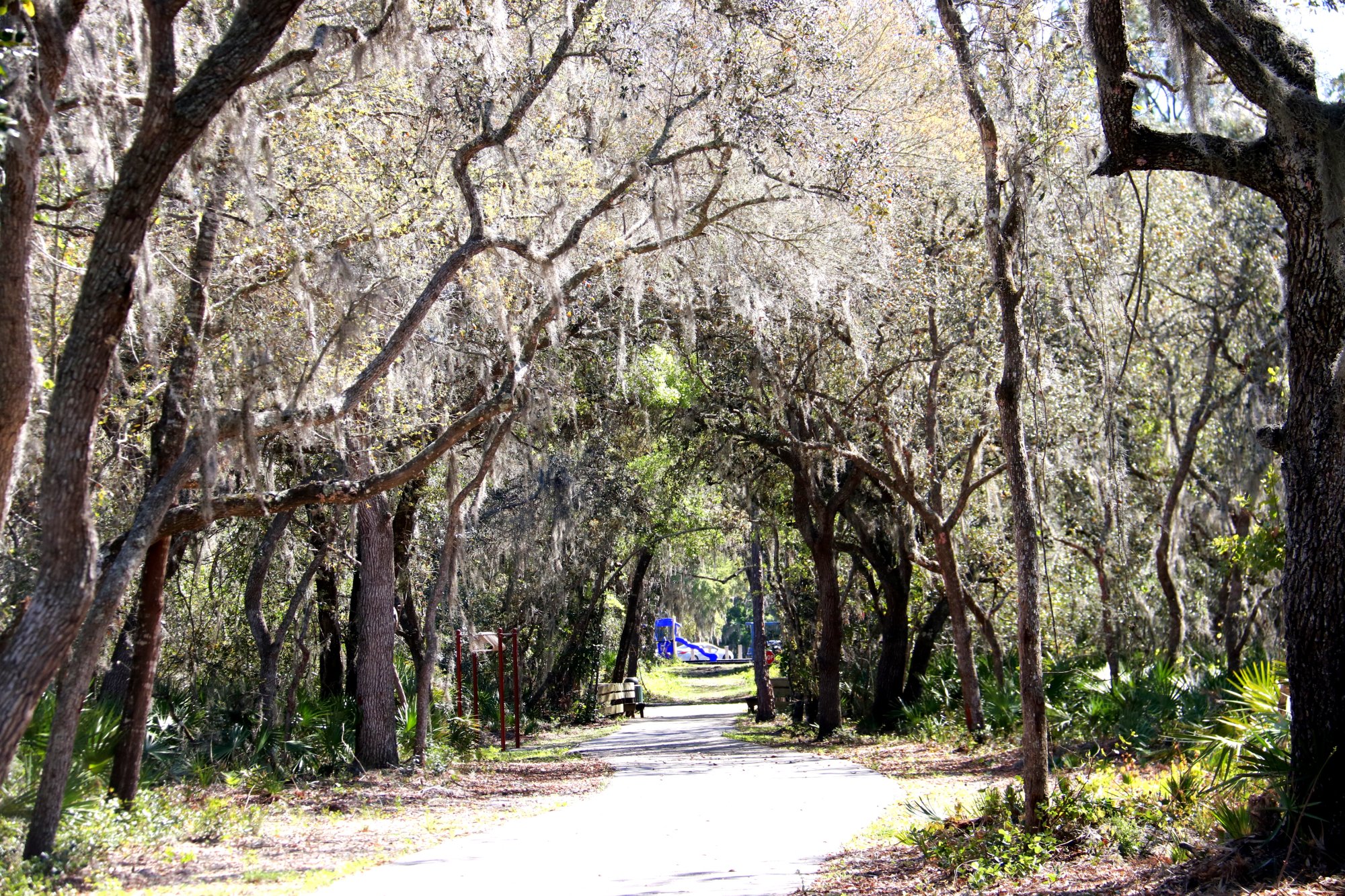 THE 10 BEST Hotels In Wildwood FL 2024 From 73 Tripadvisor   Beautiful Wooded Paths 