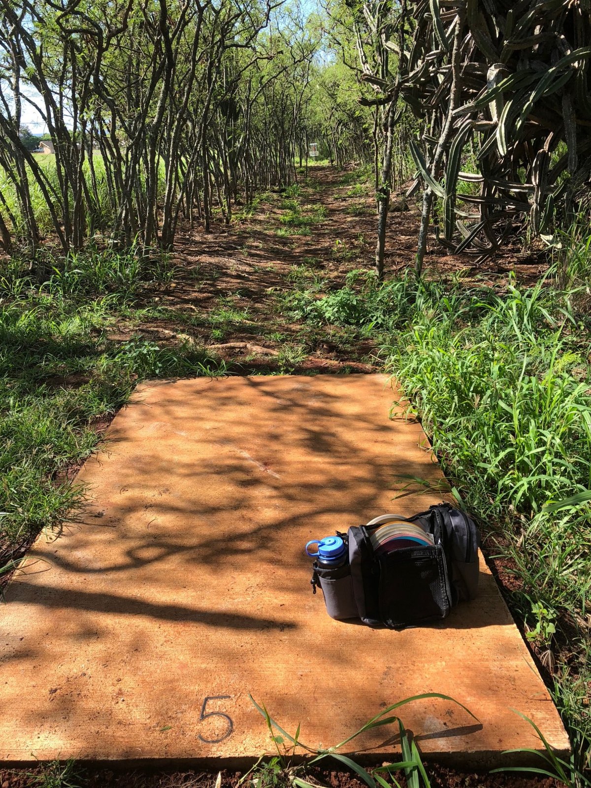 Weliweli Disc Golf Course (Koloa) All You Need to Know BEFORE You Go