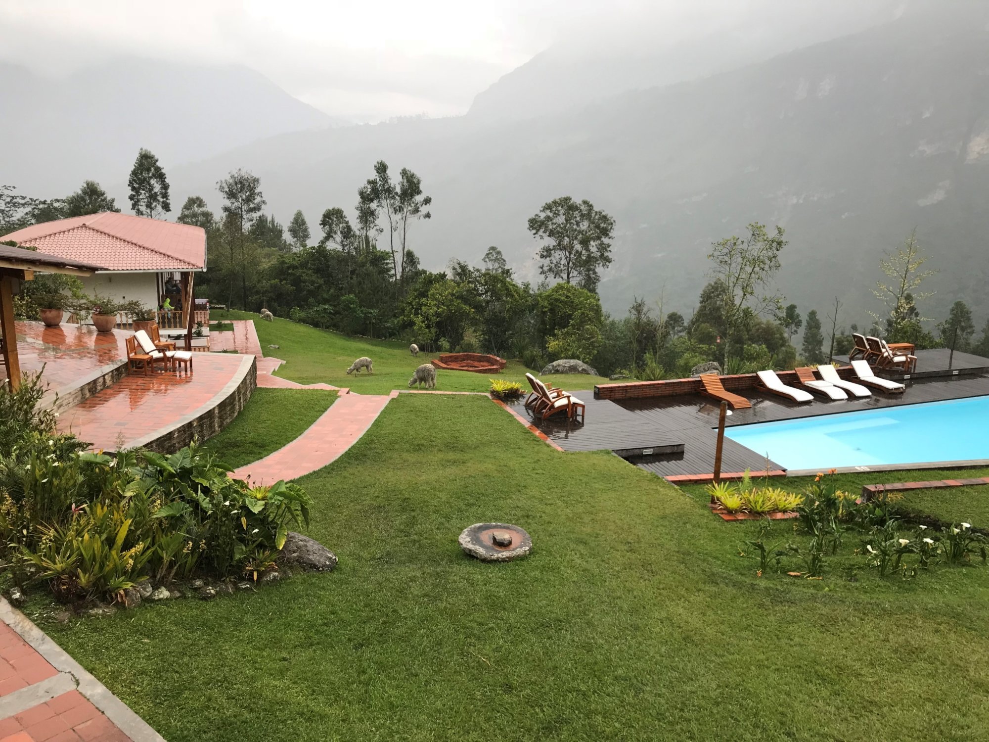 Gocta Andes Lodge Restaurant: Pictures & Reviews - Tripadvisor