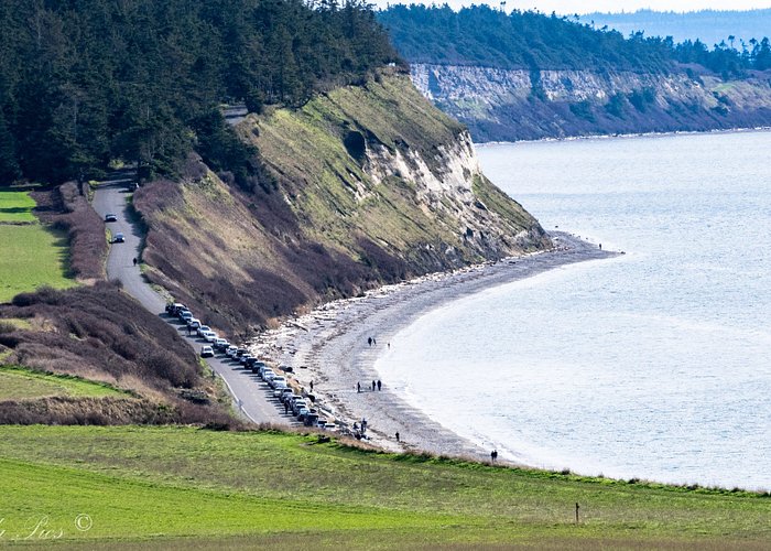 View of Ebey's landing from the hike pathe to Ebey's Bluff.