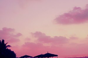 客房景观