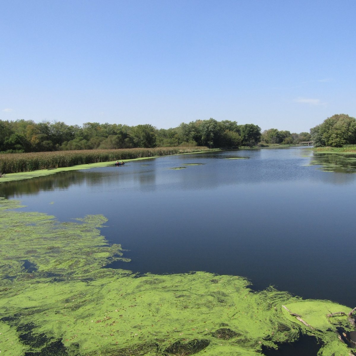 Channahon State Park: All You Need to Know BEFORE You Go