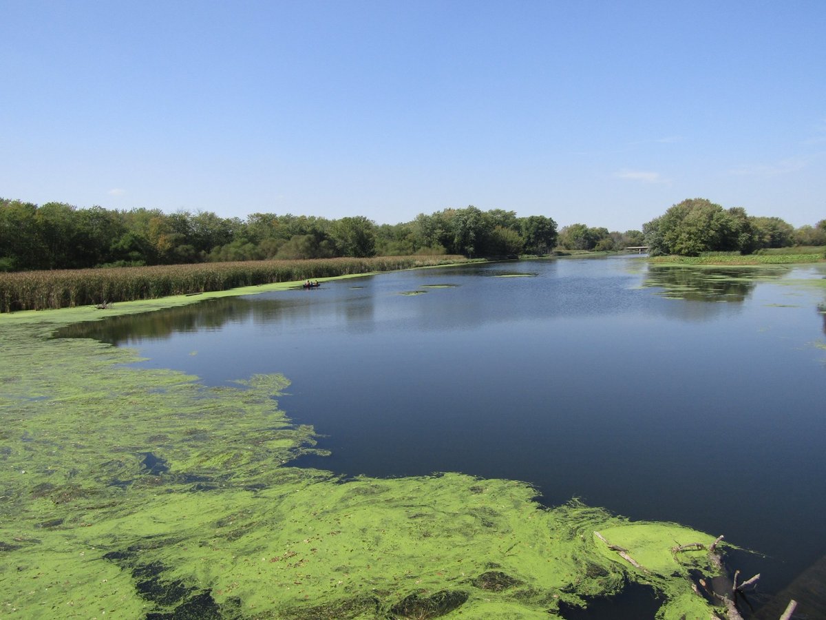 Escape To Channahon: A Nature Lover’s Paradise Just Outside Chicago