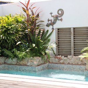 Small private plunge pool at Unique apartment