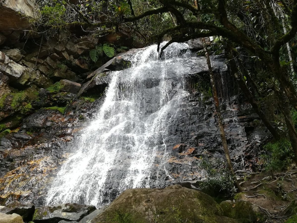 Harmony Glamping Reviews & Photos (San Luis de Gaceno, Colombia
