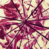 Specialists in Raw Vegan Cakes