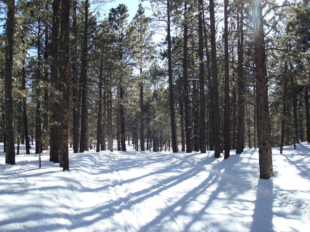 Flagstaff Nordic Center - All You Need to Know BEFORE You Go (2024)