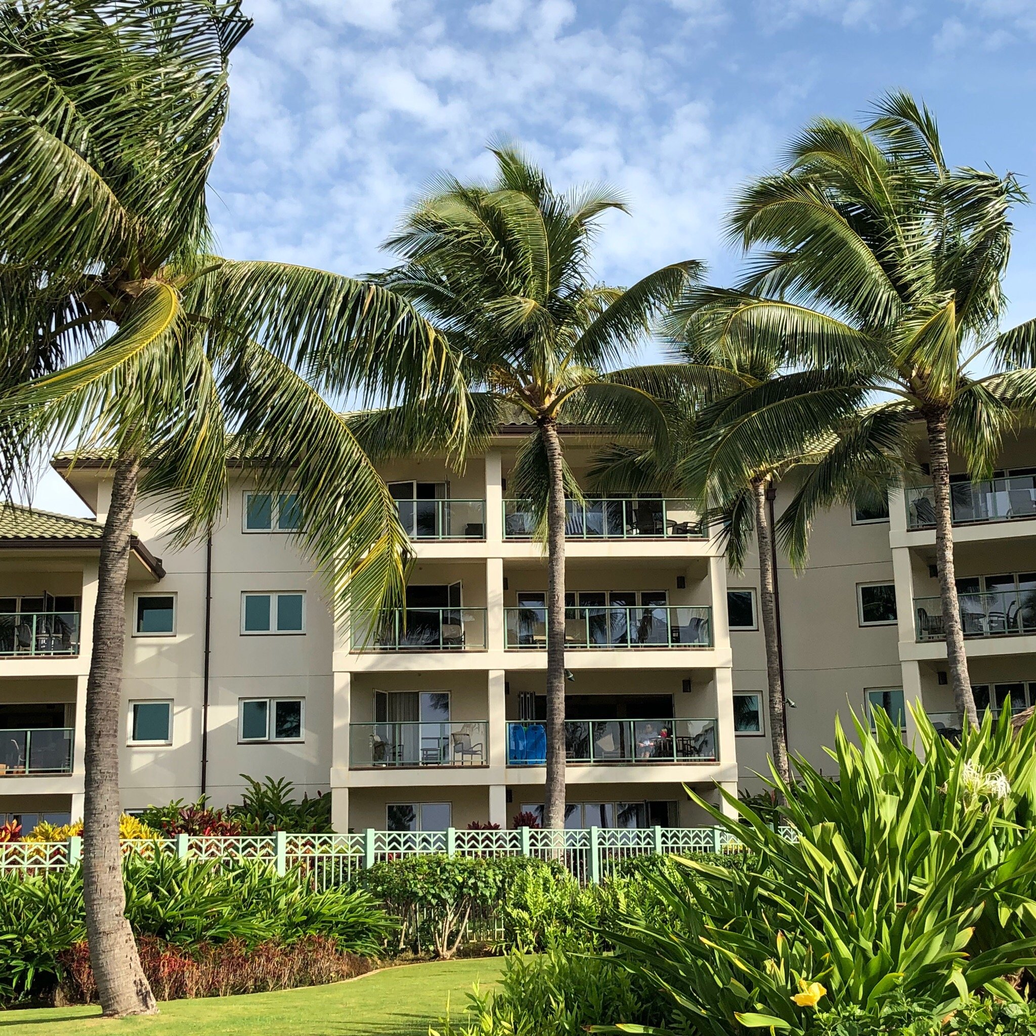 Marriott S Kauai Lagoons Kalanipu U Pool Pictures Reviews Tripadvisor   Marriott S Kauai Lagoons 