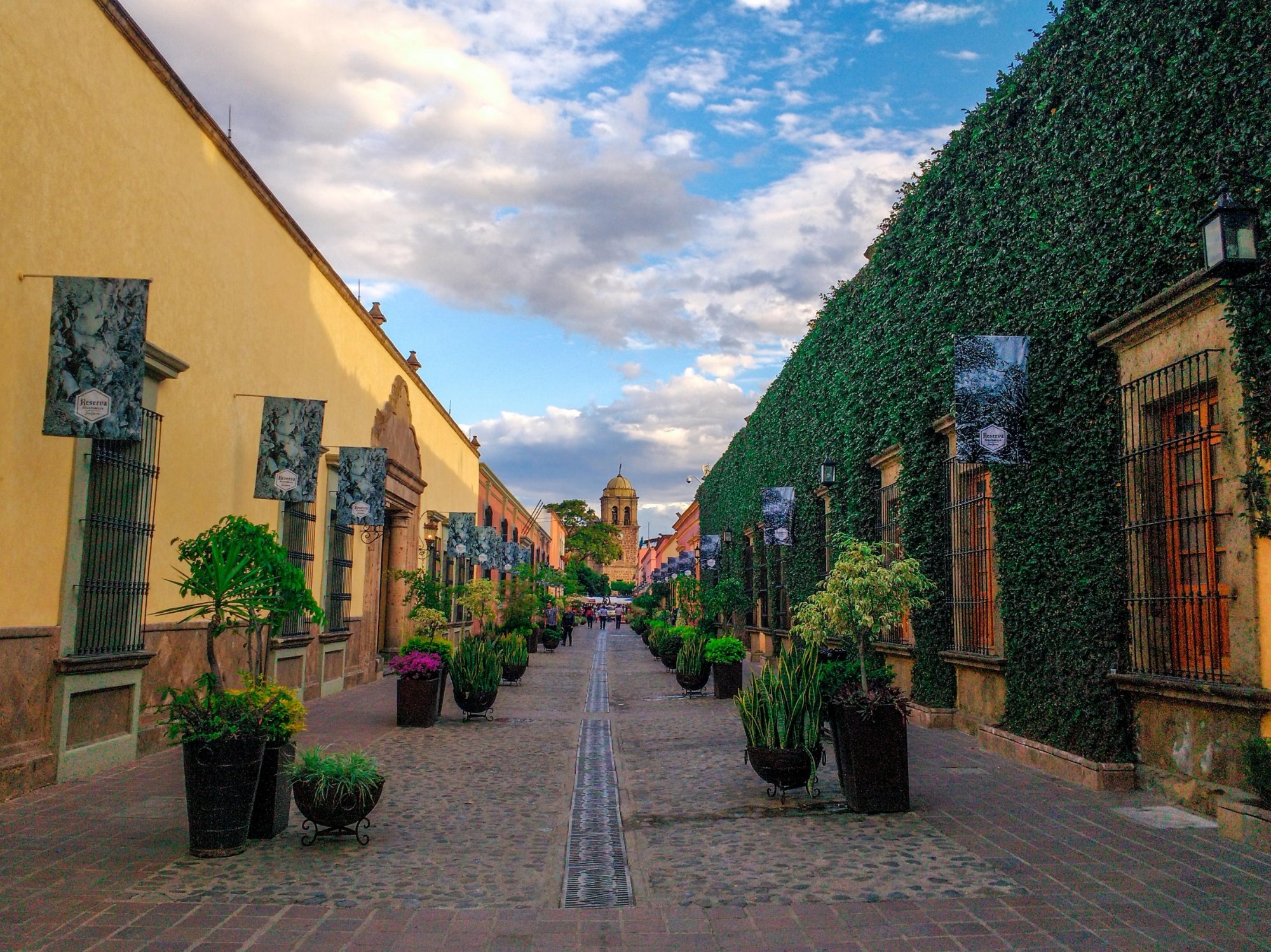 Mexico Tequila Tours - All You Need To Know BEFORE You Go