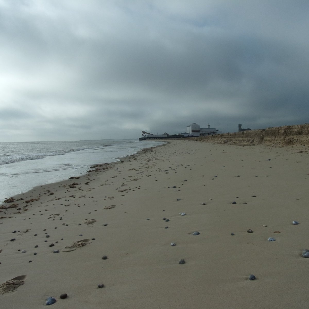 can you walk dogs on great yarmouth beach