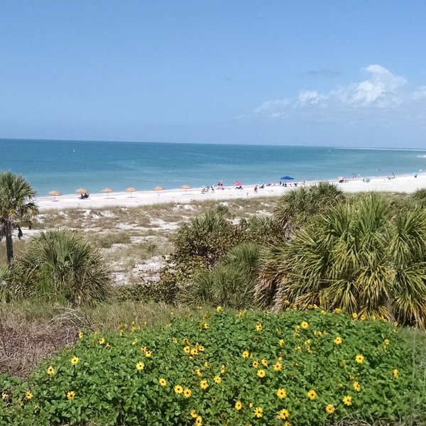 The 15 Best Things To Do In Longboat Key 2025