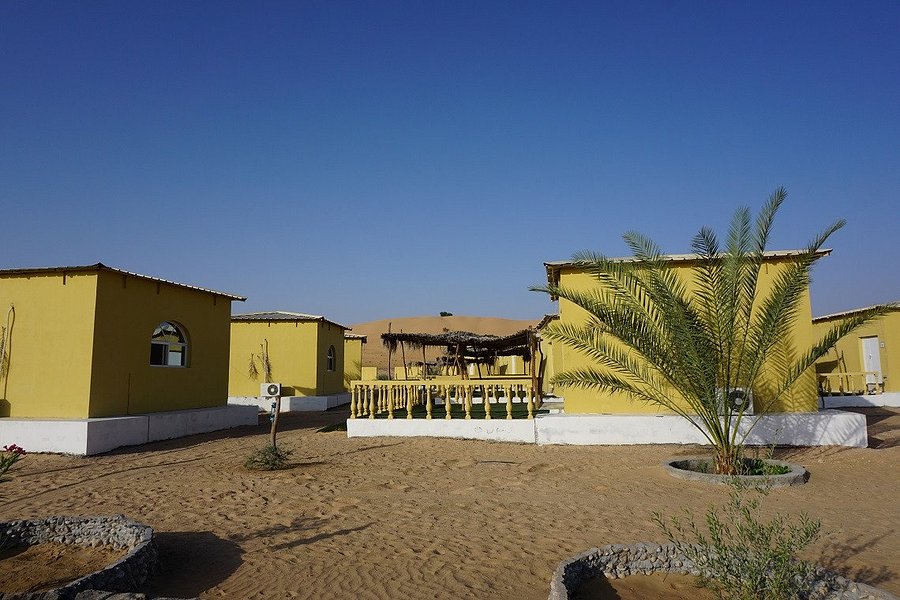 Golden Palm Oasis Rooms: Pictures & Reviews - Tripadvisor