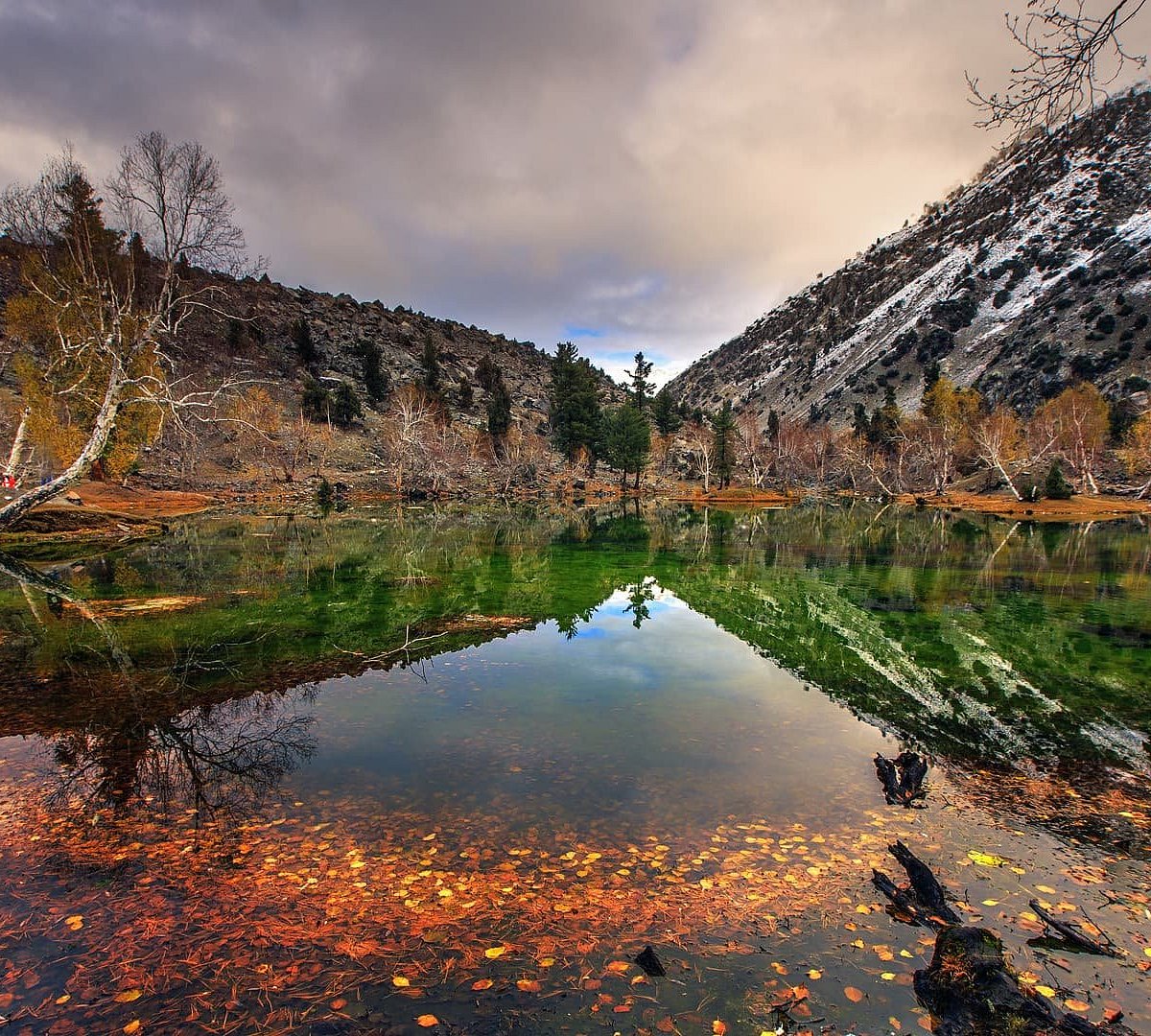 Naltar Lake, Naltar Valley: лучшие советы перед посещением - Tripadvisor