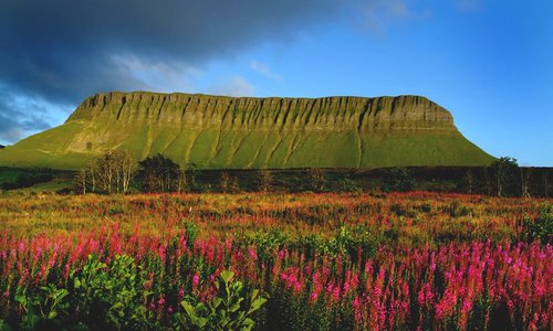 Sligo