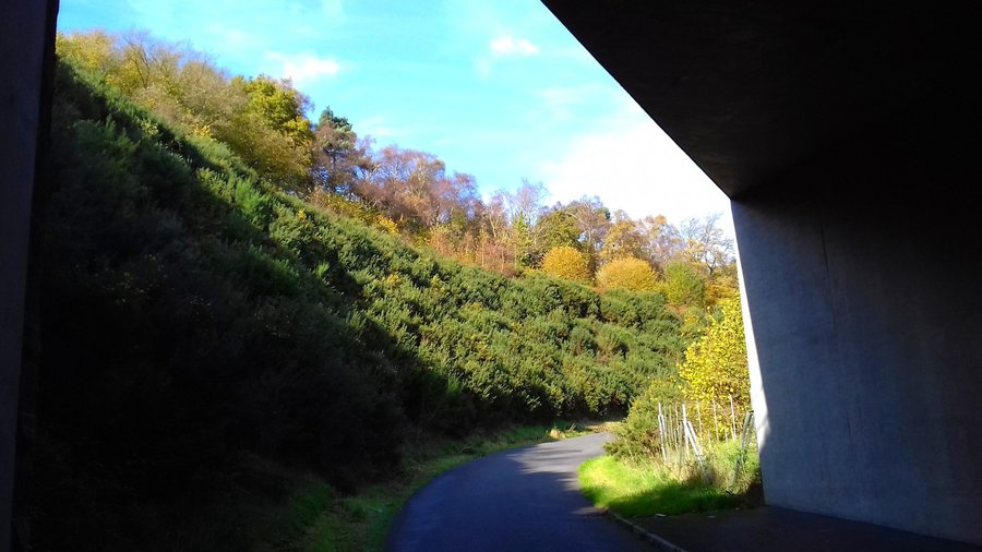 Route from Brook under the A3 for a quiet cycle to Hindhead