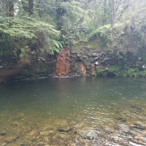 swim hole (it was too cold)