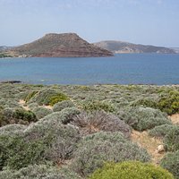 Palaikastro