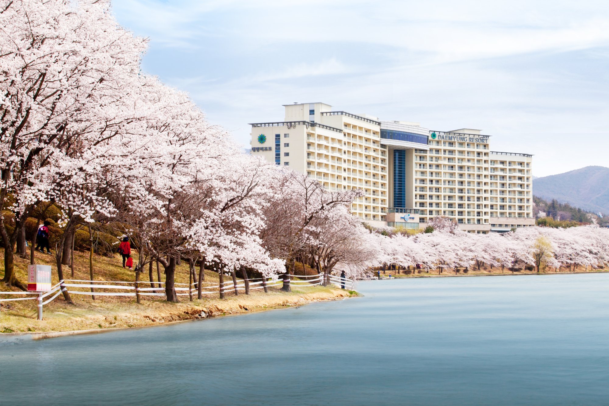 Sono Belle Gyeongju image