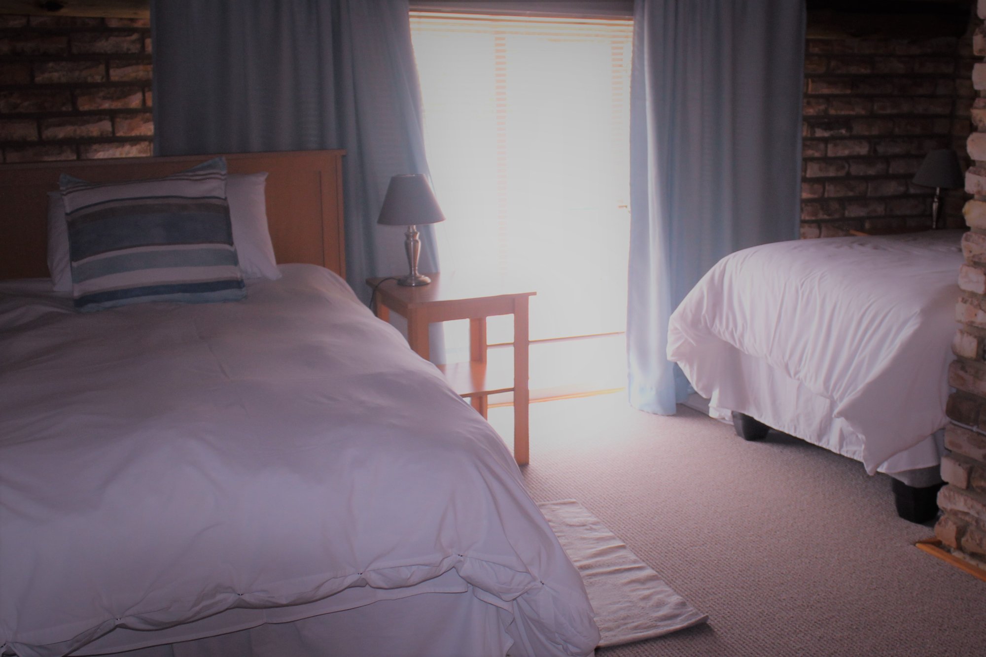 Hotel photo 6 of The Willow Tree Guest House.