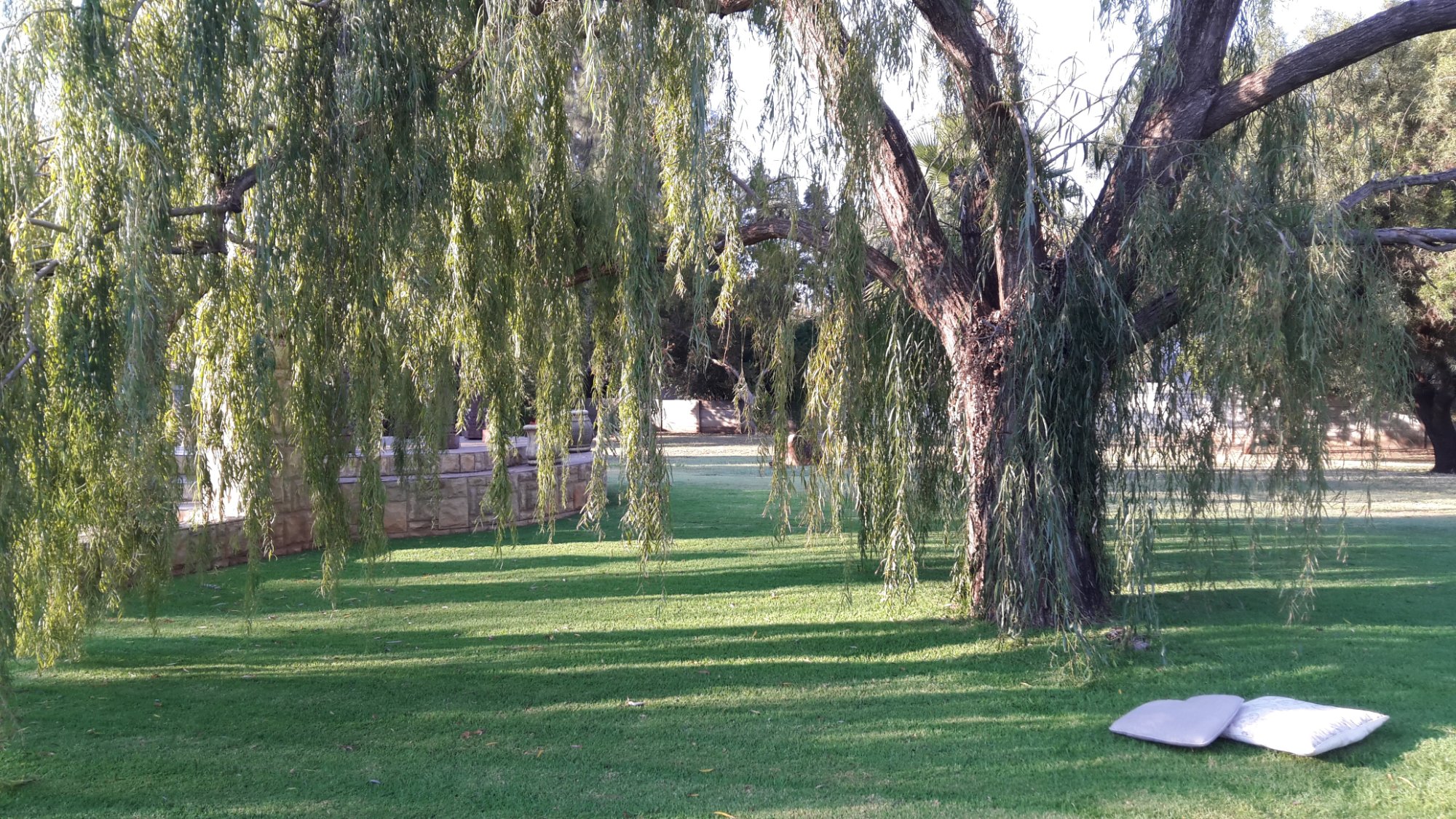 Hotel photo 20 of The Willow Tree Guest House.