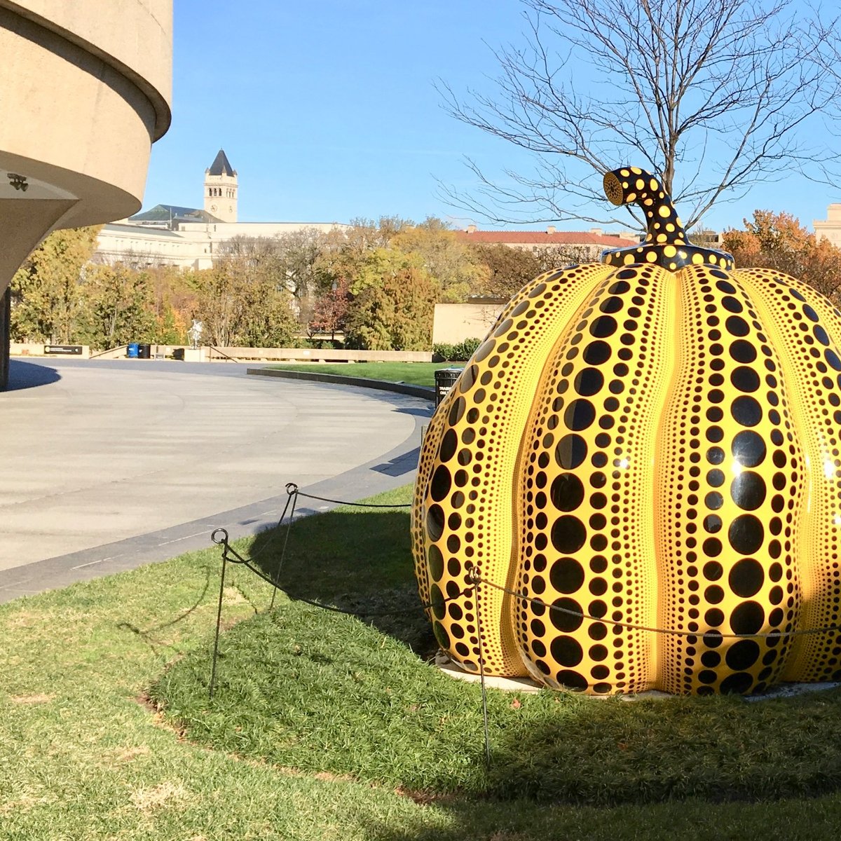 Hirshhorn Museum and Sculpture Garden (Washington DC) Lo que se debe