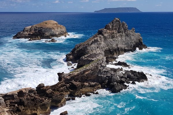 Serenidad Entre Las ViÃ±as: CabaÃ±as En ViÃ±edos