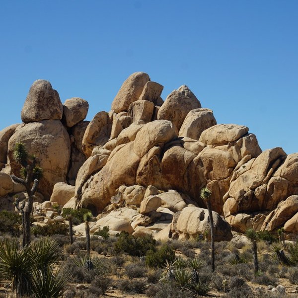 Lost Horse Mine (Joshua Tree National Park) - All You Need to Know ...