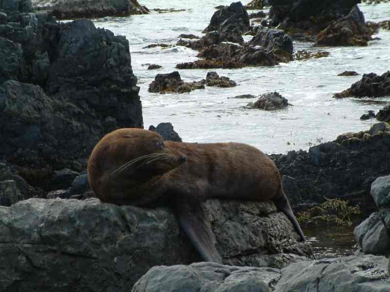 Wellington Nature Tours (New Zealand): Address, Phone Number - Tripadvisor