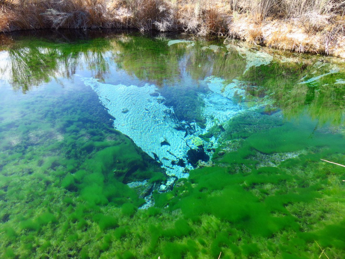 Escape to the Wild: Cromwell Meadows Wildlife Refuge, Your Gateway to Nature's Wonders