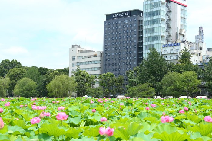 Imagen 2 de APA Hotel Keisei Ueno Ekimae