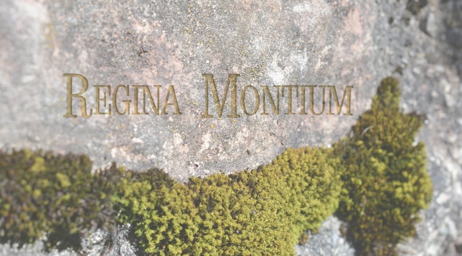 Regina Montium image 2 - Full view