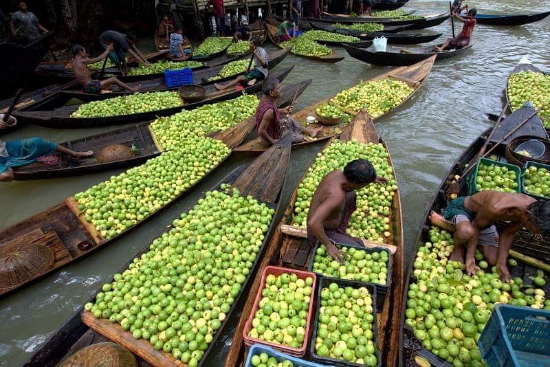 Guava Market image