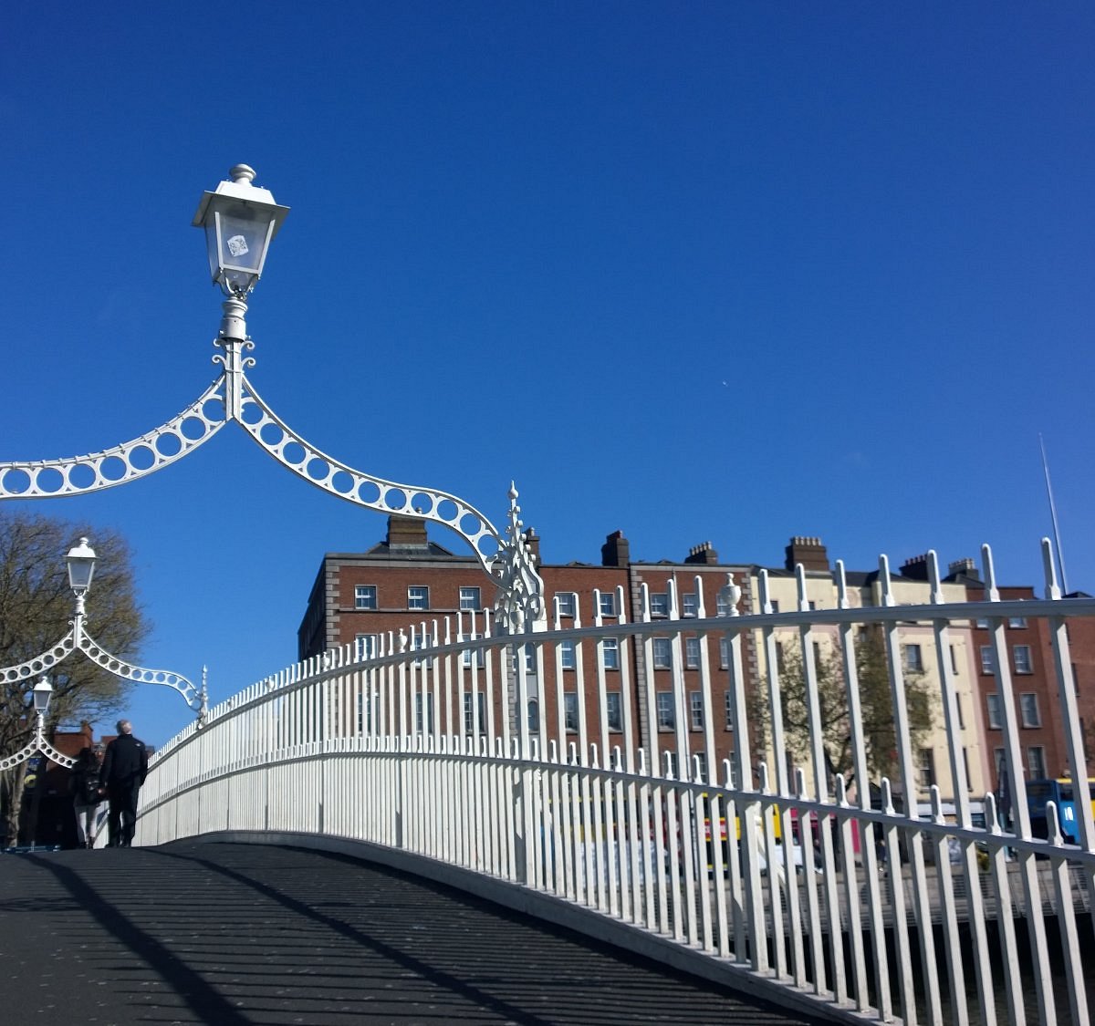 pat liddy tours dublin