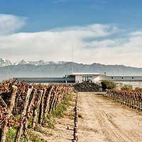 Nuestra Bodega