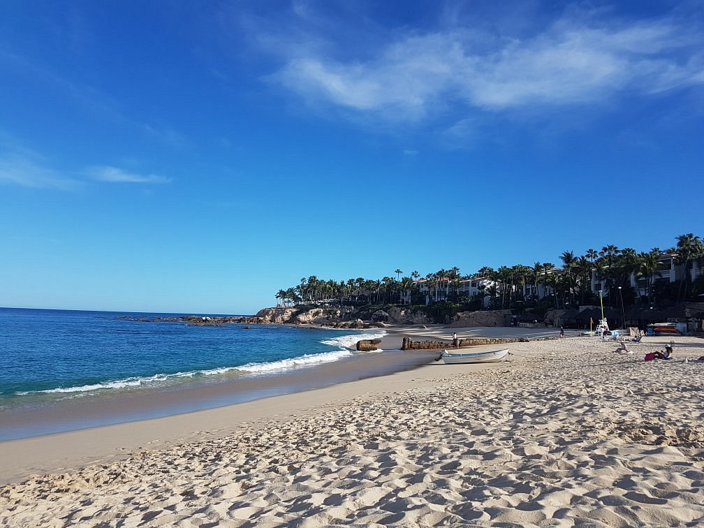 Playa Palmilla (Palmilla Beach) (San Jose del Cabo) - All You Need to Know  BEFORE You Go