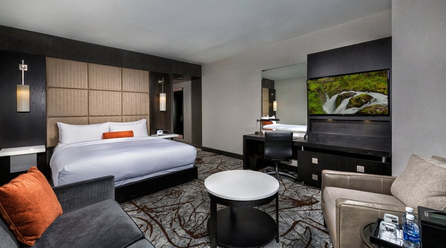 Deluxe King Guest Room