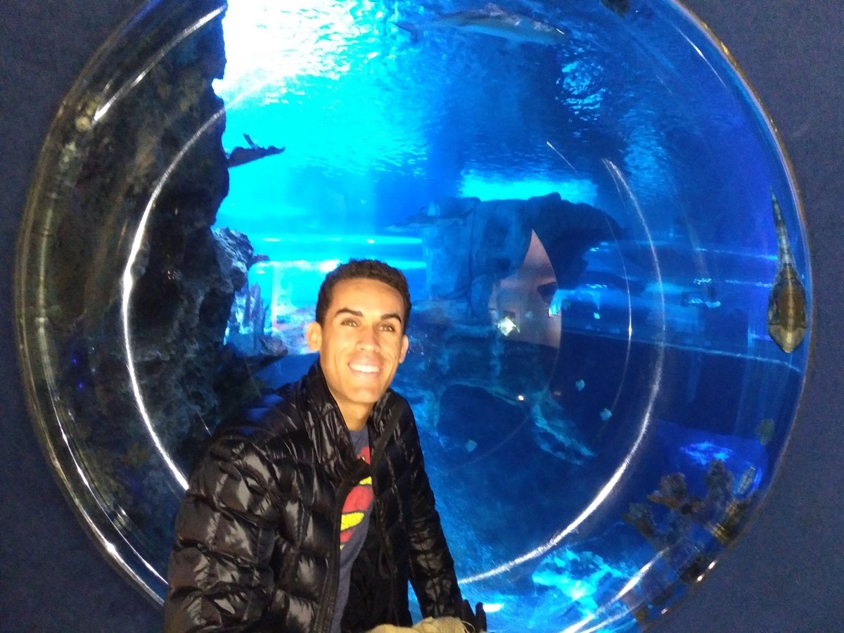 Newport Aquarium: лучшие советы перед посещением - Tripadvisor