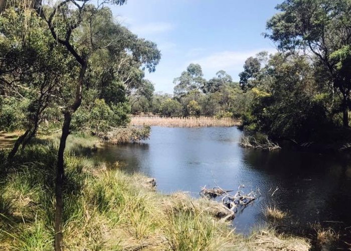 Ocean Grove Nature Reserve