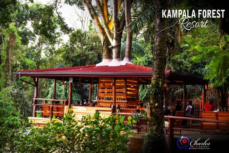 Kampala Forest Resort Hk 457 H K 5 8 1 Updated 2021 Prices Lodge Reviews Uganda Tripadvisor