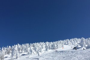 客室 & スイート